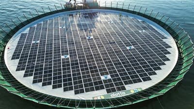 Slik bidrar AKVA group til å utvikle havbruk