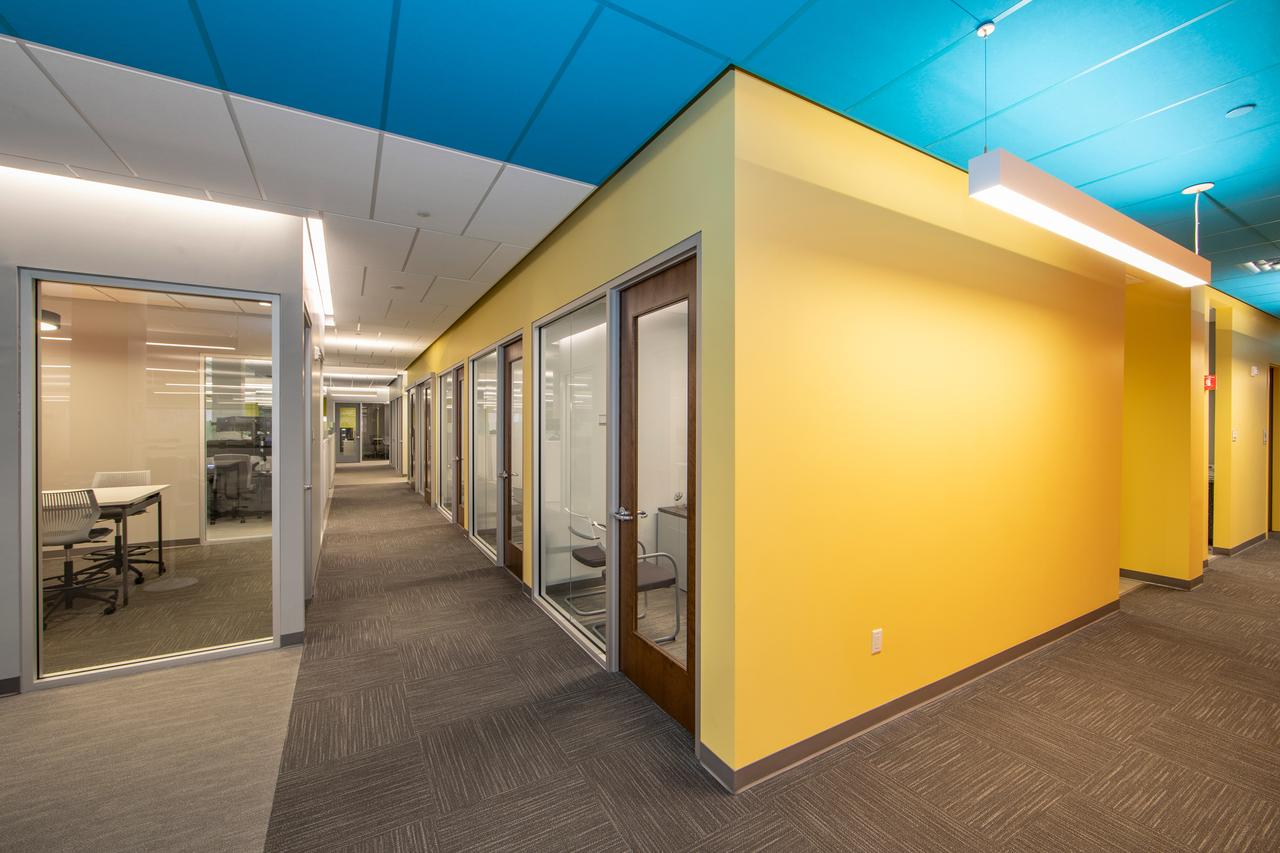 Ceilings Create Bold Office Spaces