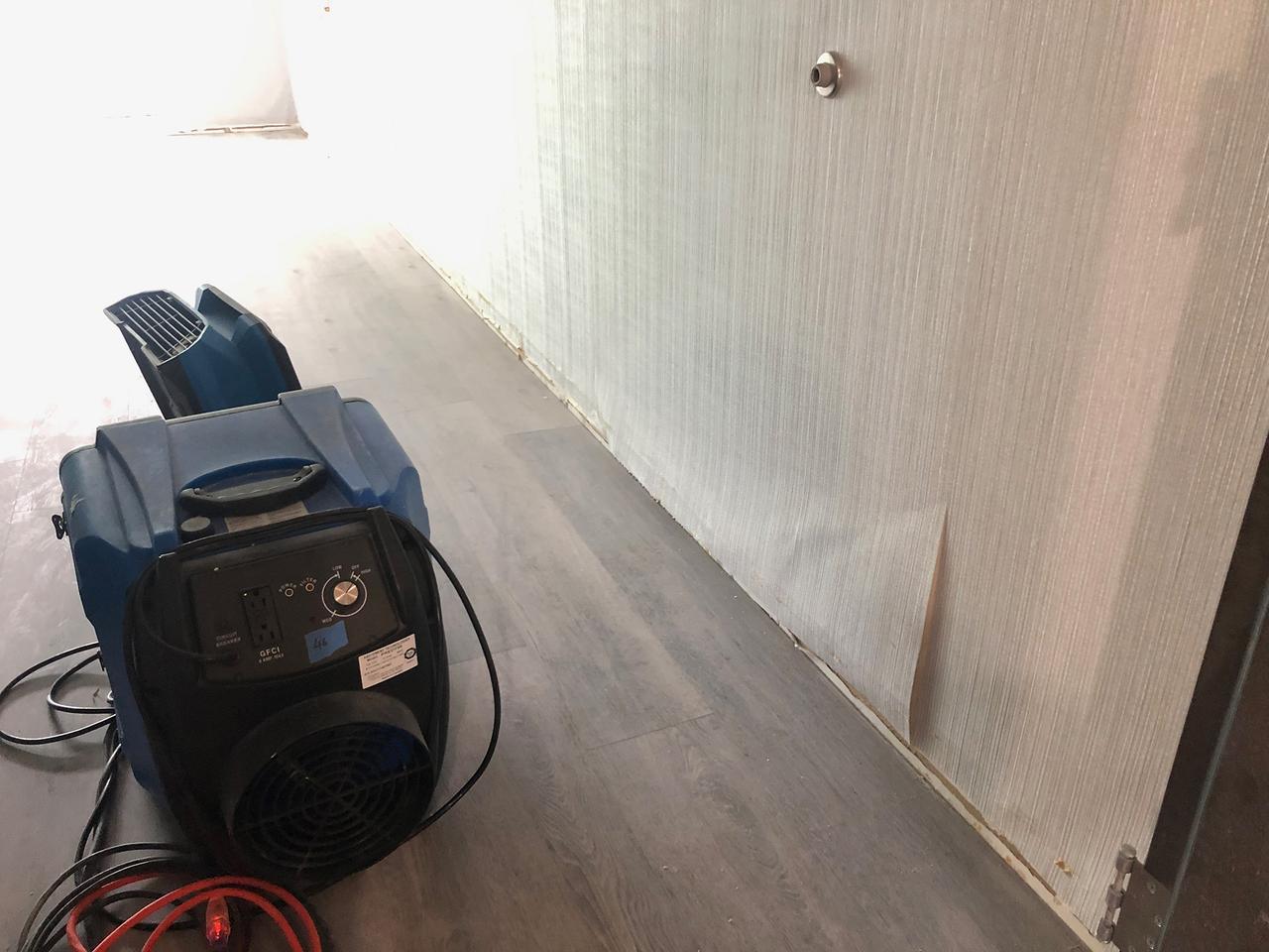 Luggage and bags, Wood, Flooring, Floor