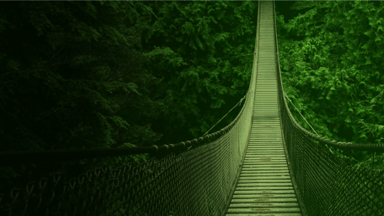 Canopy walkway, Terrestrial plant, Natural landscape, Wood, Grass