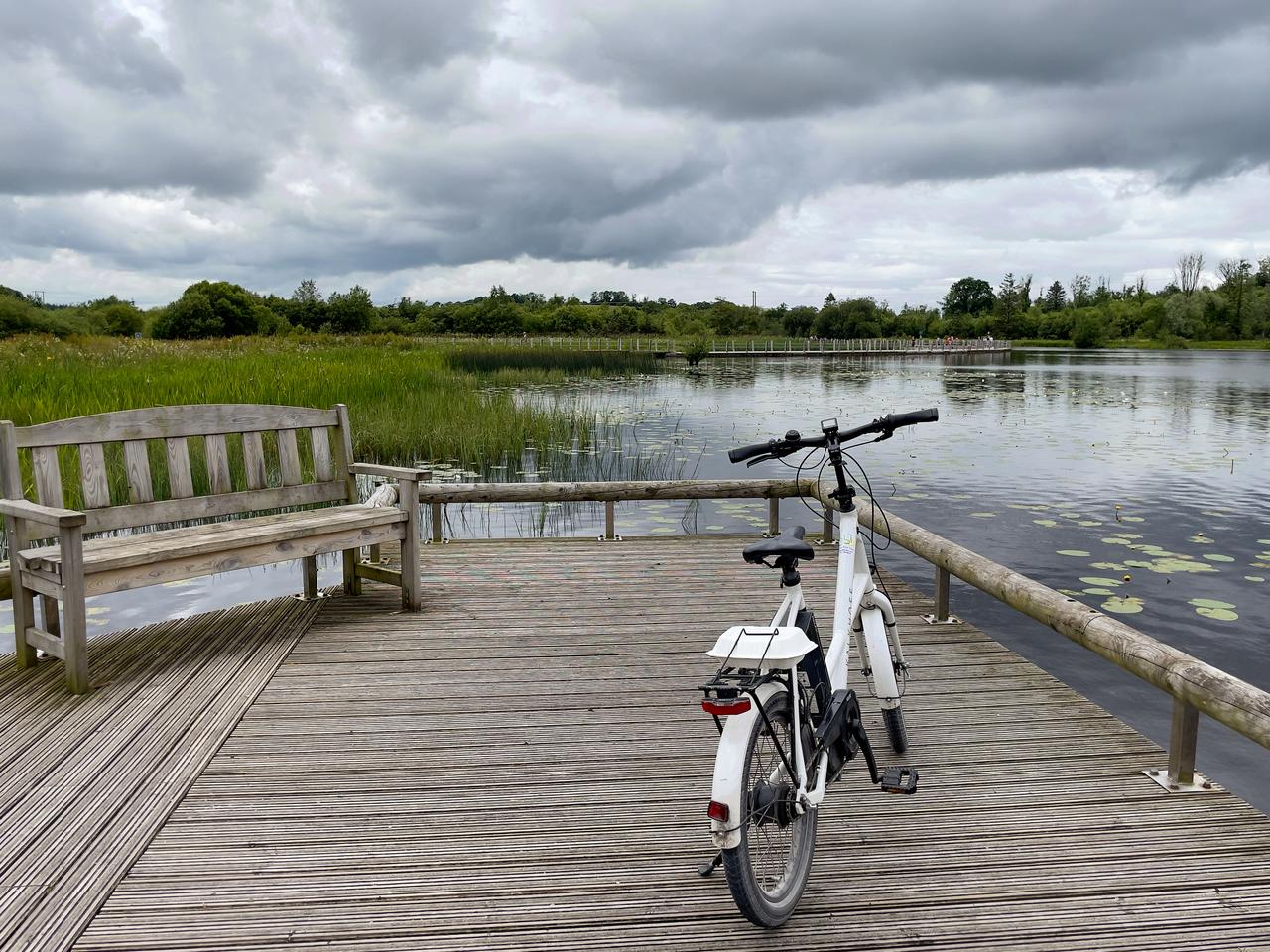 Bicycles--Equipment and supplies, Bicycle tire, Water, Cloud, Wheel, Sky, Crankset