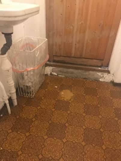 Tile flooring, Plumbing fixture, Brown, Property, Wood, Floor, Hardwood