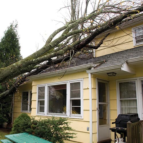 Restoration Industry 