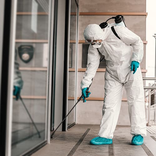 Restoration Industry 