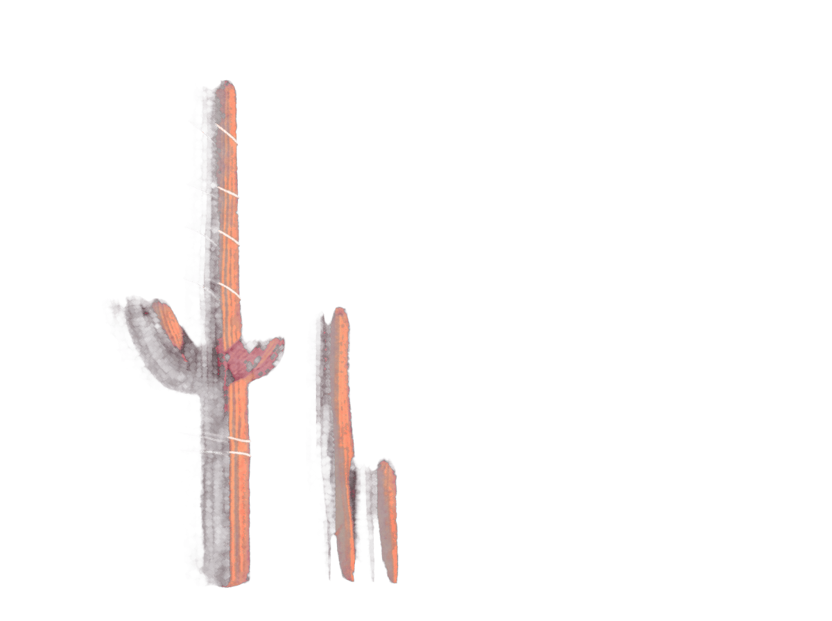 Two stylized cacti, one tall and one shorter, with white lines, on a dark green background.