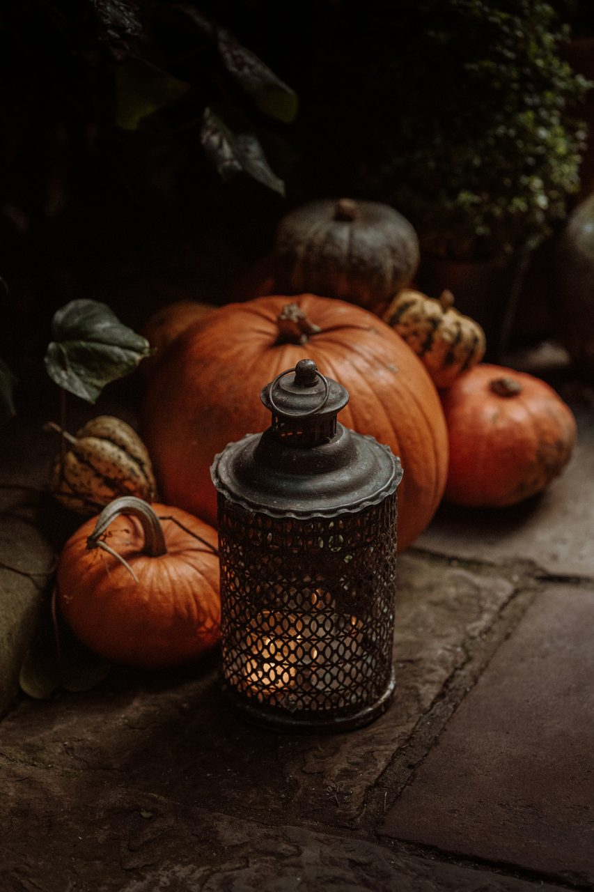Winter squash, Natural foods, Brown, Pumpkin, Plant, Cucurbita, Calabaza, Orange, Wood