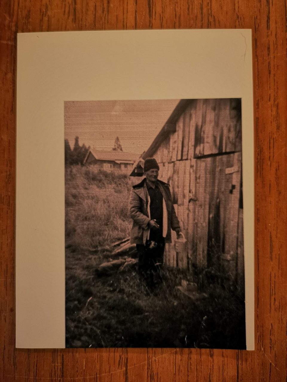 Picture frame, Brown, Plant, Black, Wood, Art, Rectangle, Grass
