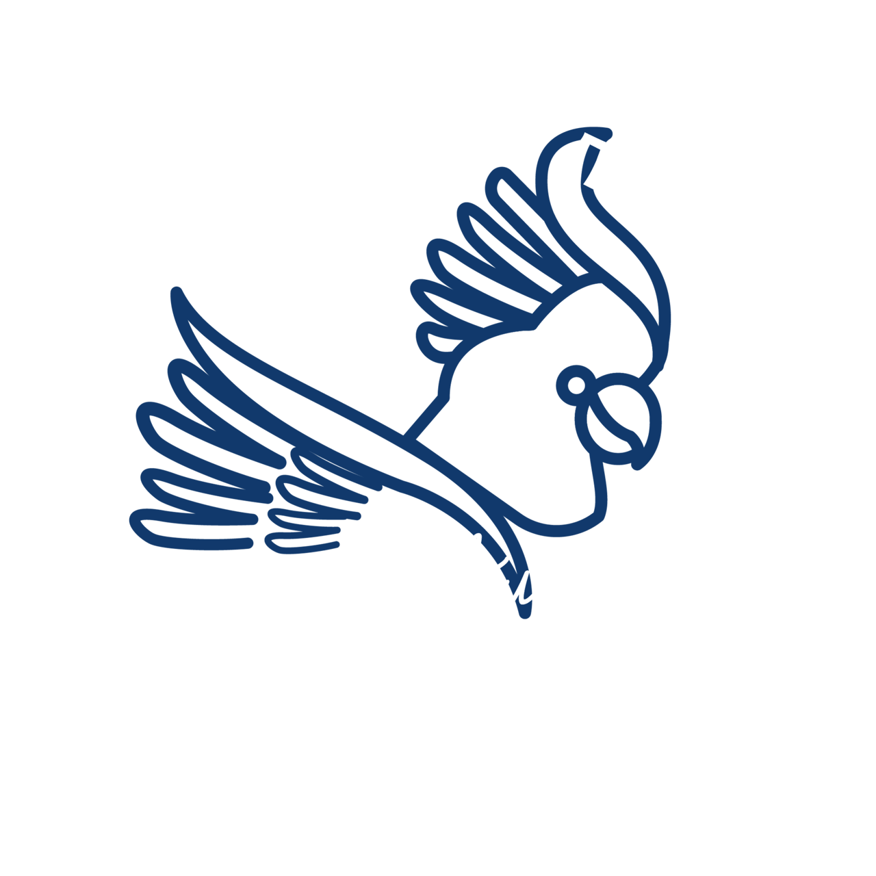 Bird, Beak, Azure, Gesture