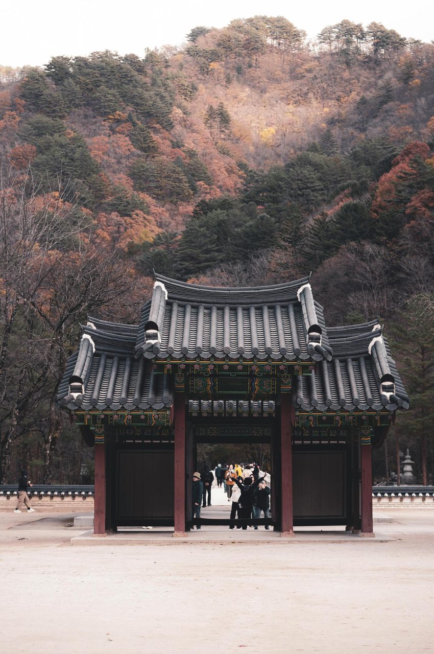 . 정규송 Nui MALAMA: https://www.pexels.com/@nui-malama-169330637