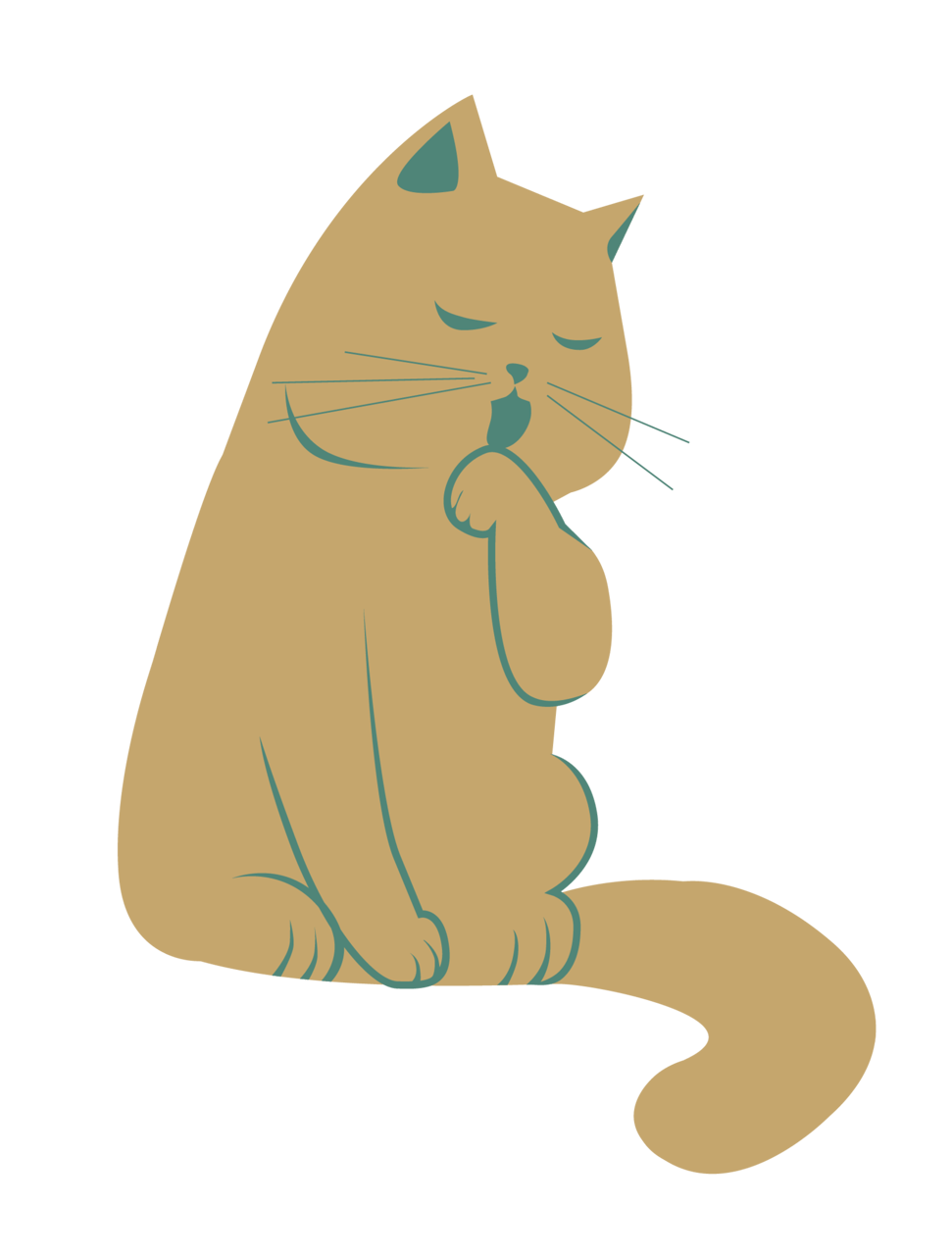 Small to medium-sized cats, Cat, Felidae, Carnivore, Gesture, Whiskers