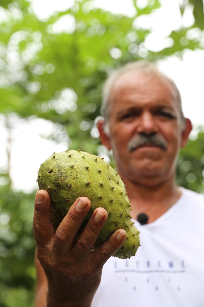 Sports equipment, Terrestrial plant, Natural foods, Food, Fruit, Soursop, Organism