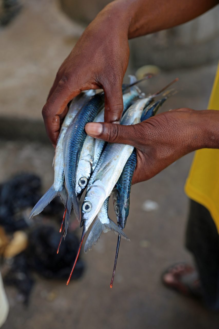 Hand, Organism, Arthropod, Finger, Seafood