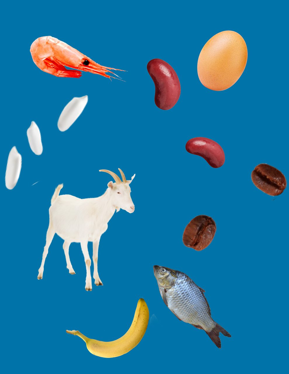 Azure, Organism, Mammal, Art, Line, Font