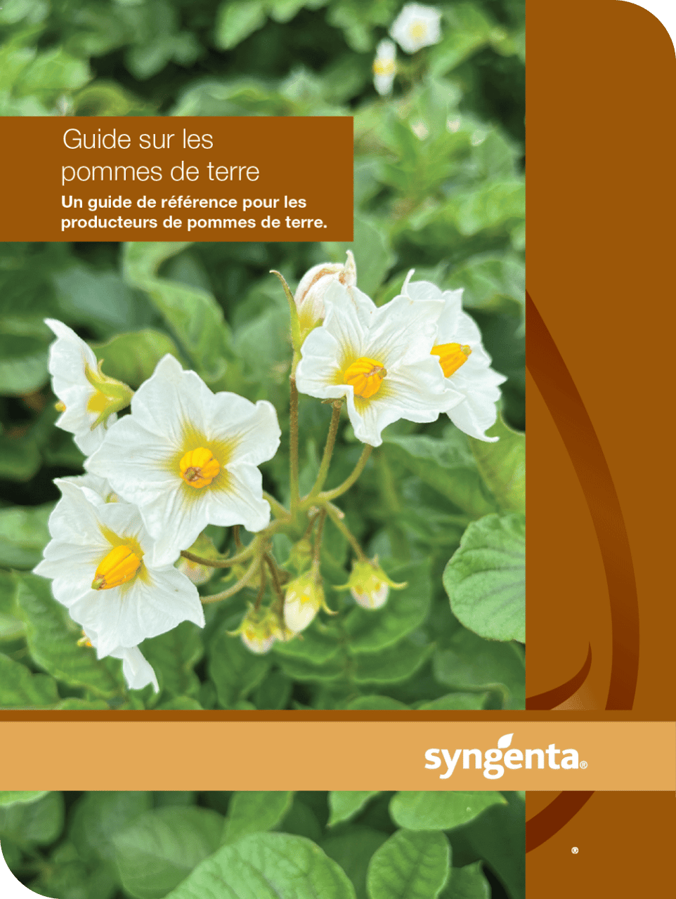 Potato guide cover