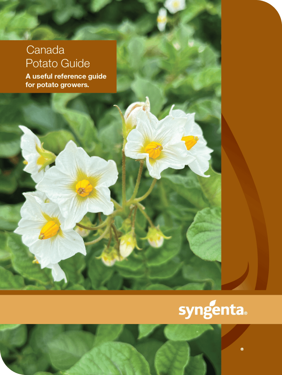 Potato guide cover