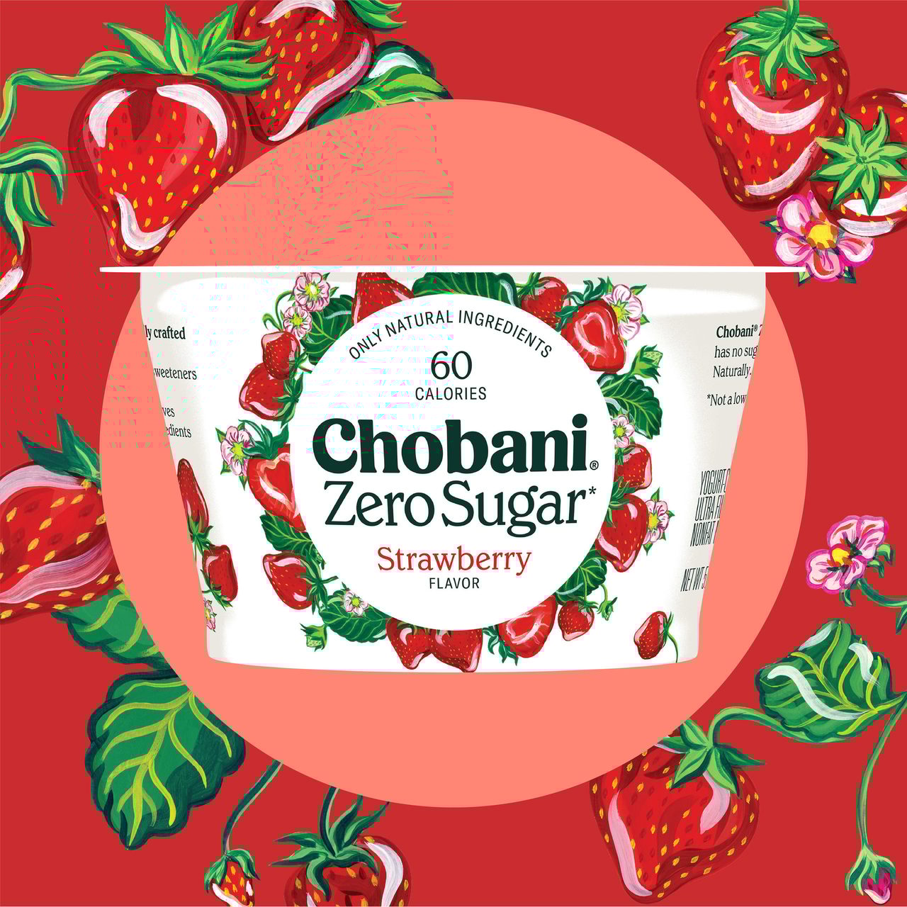 Natural foods, Green, Plant, Red, Poster, Font