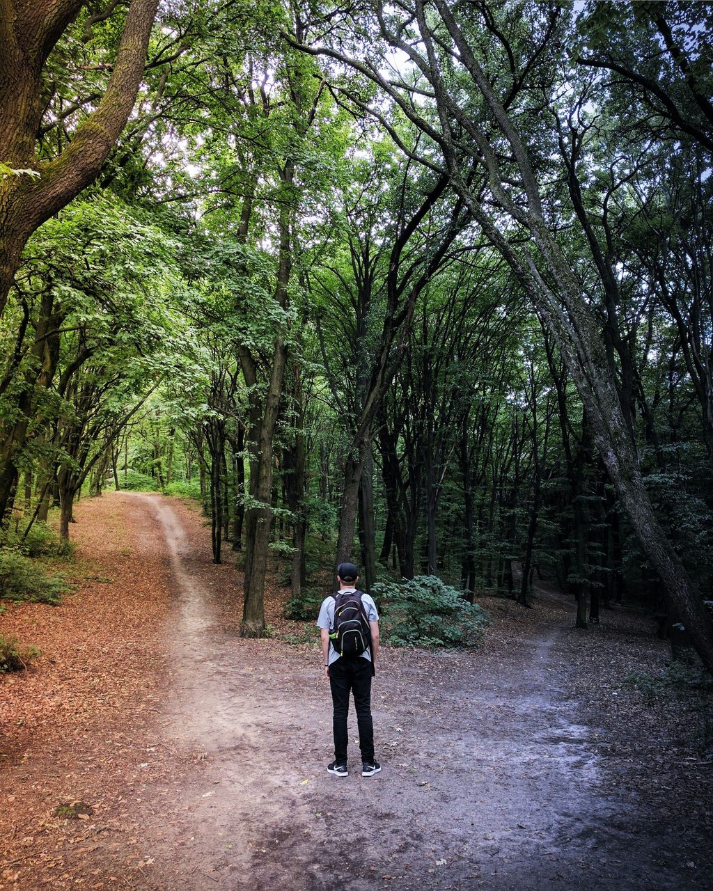 Man at the Crossroads