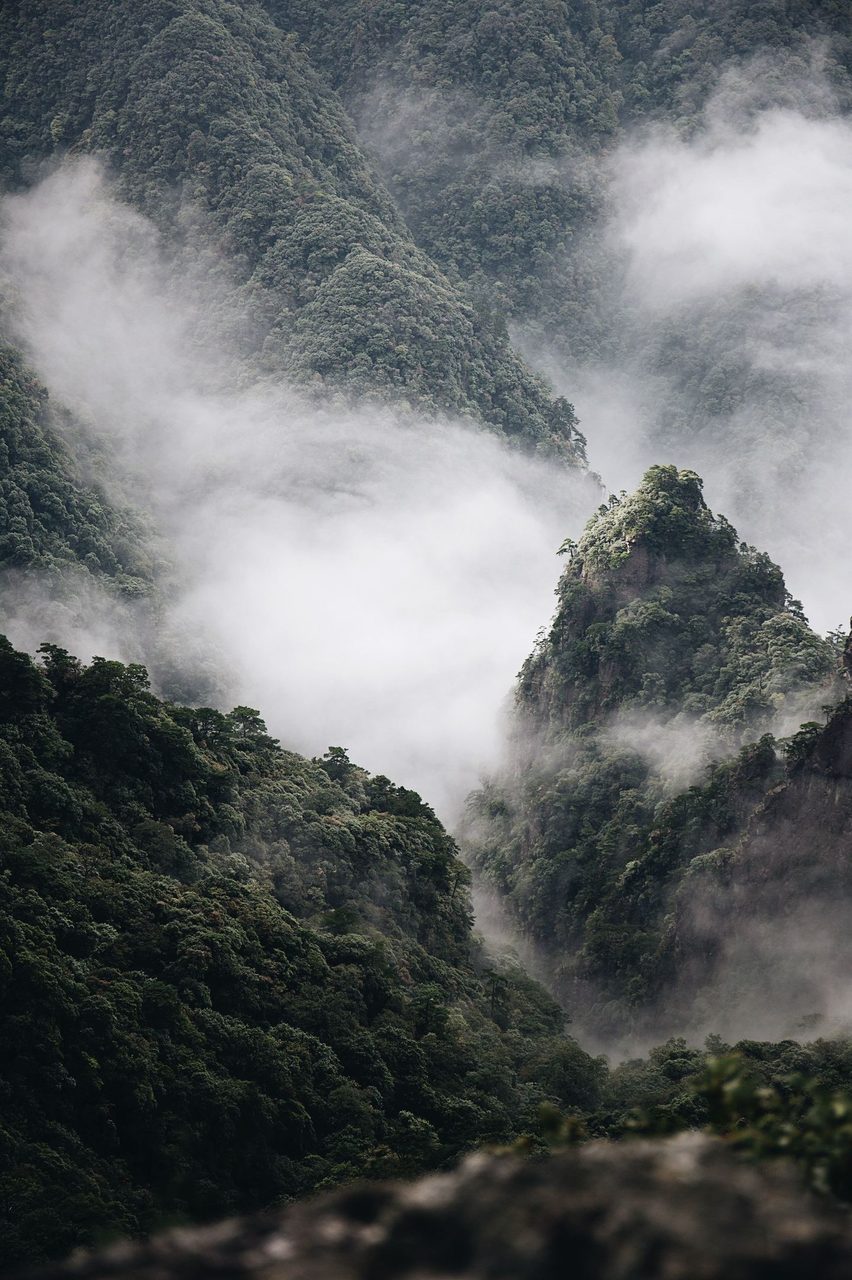 Natural landscape, Cloud, Atmosphere, Mountain, Highland, Fog, Plant, Tree, Watercourse, Terrain