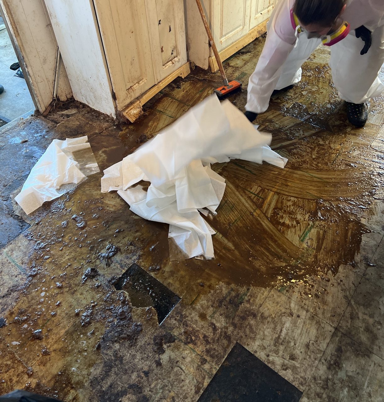 Cleaning Up Rehydrated Cat Feces