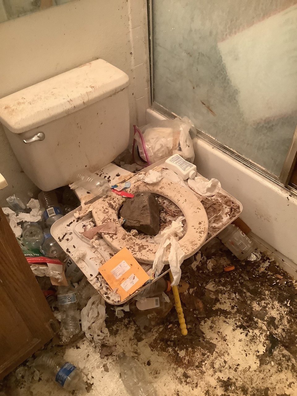 Hoarded Bathroom