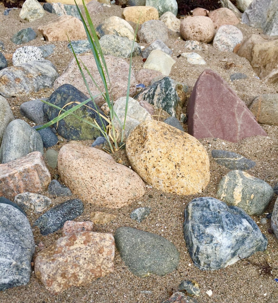 Bedrock