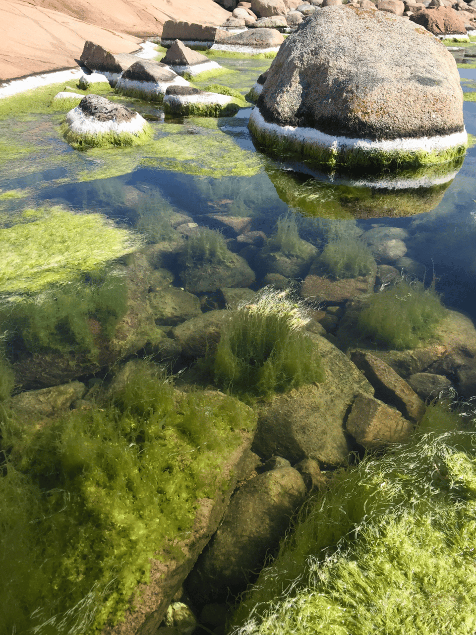Fluvial landforms of streams, Natural landscape, Water, Bedrock, Grass, Vegetation, Plant, Bank