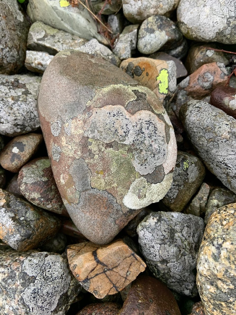 Bedrock