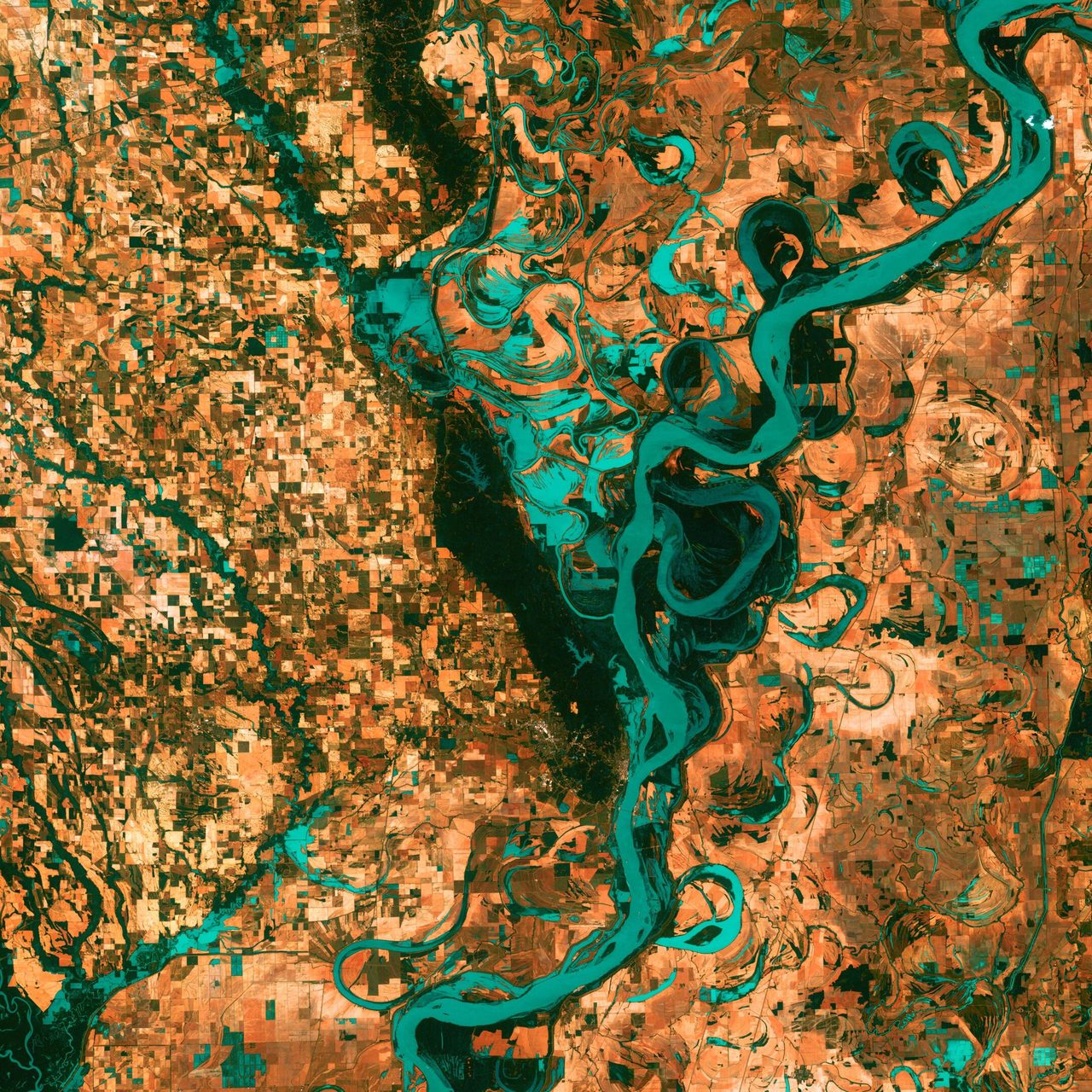 Small, blocky shapes of towns, fields, and pastures surround the graceful swirls and whorls of the Mississippi River. Countless oxbow lakes and cutoffs accompany the meandering river south of Memphis, Tennessee, on the border between Arkansas and Mississippi, USA. The "mighty Mississippi" is the largest river system in North America.