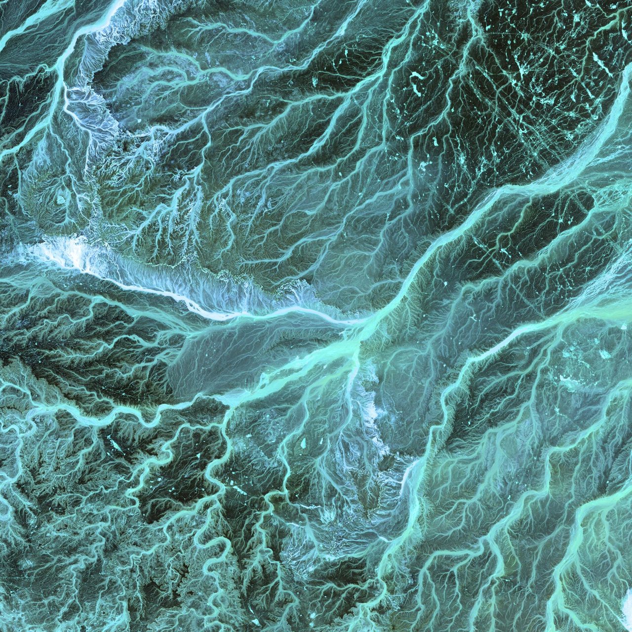 Meandering wadis combine to form dense, branching networks across the stark, arid landscape of southeastern Jordan. The Arabic word "wadi" means a gulley or streambed that typically remains dry except after drenching, seasonal rains.