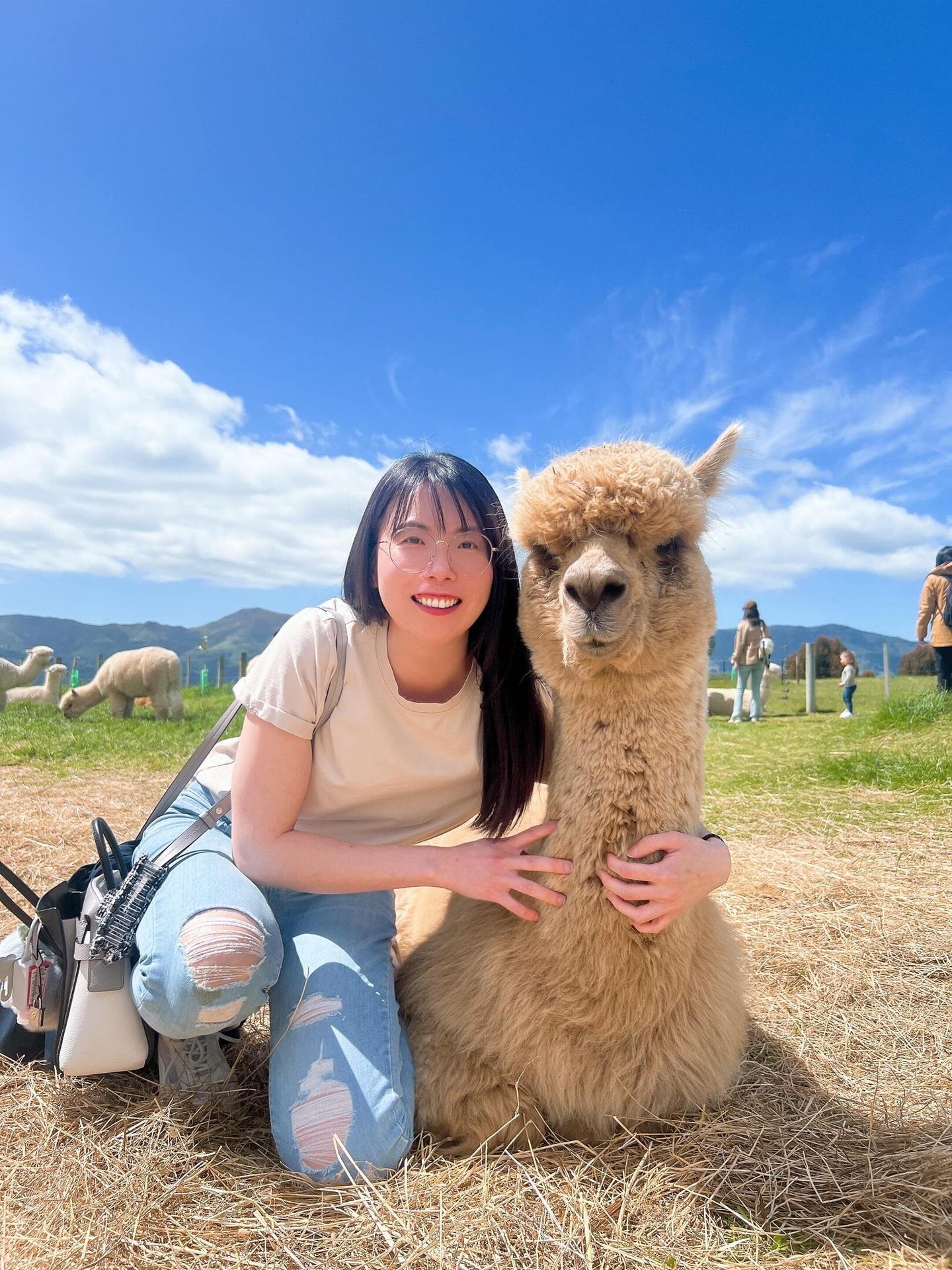 Smile, Camelids, Llama, Alpaca, Happiness