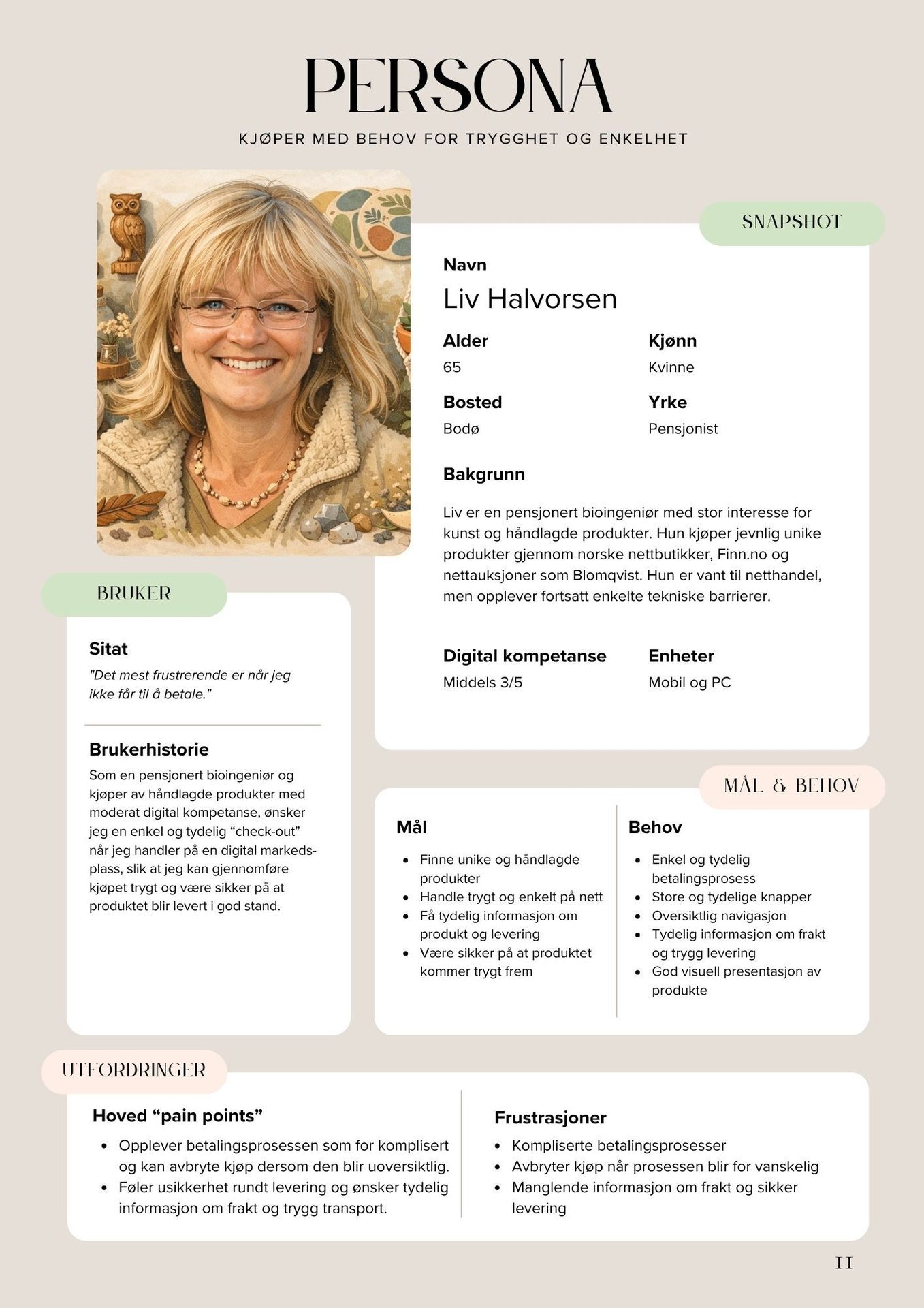 Persona card for Liv Halvorsen, a retired bioengineer, with her profile, goals, needs, and e-commerce pain points.