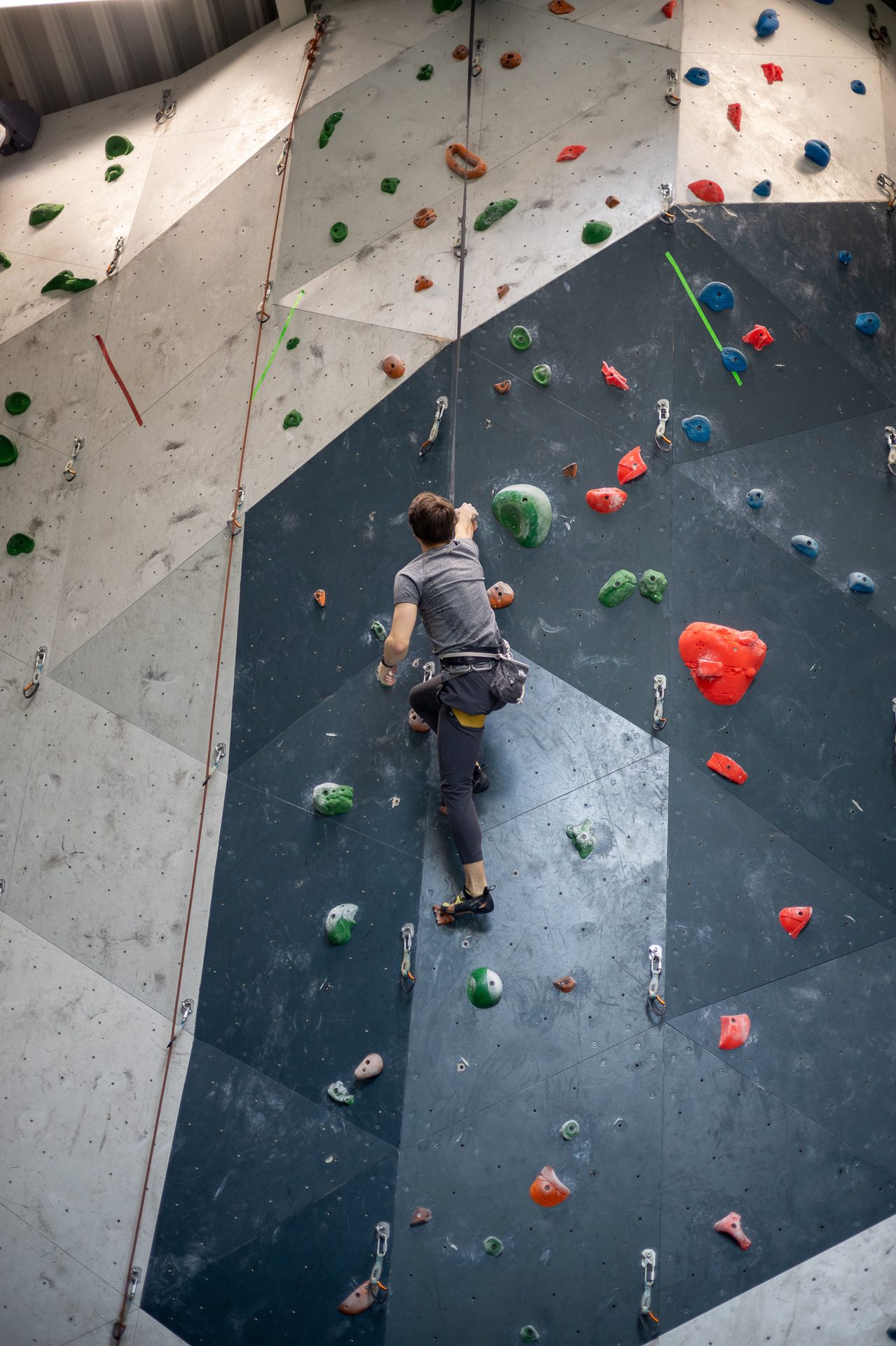 Climbing hold, World, Organism, Leisure