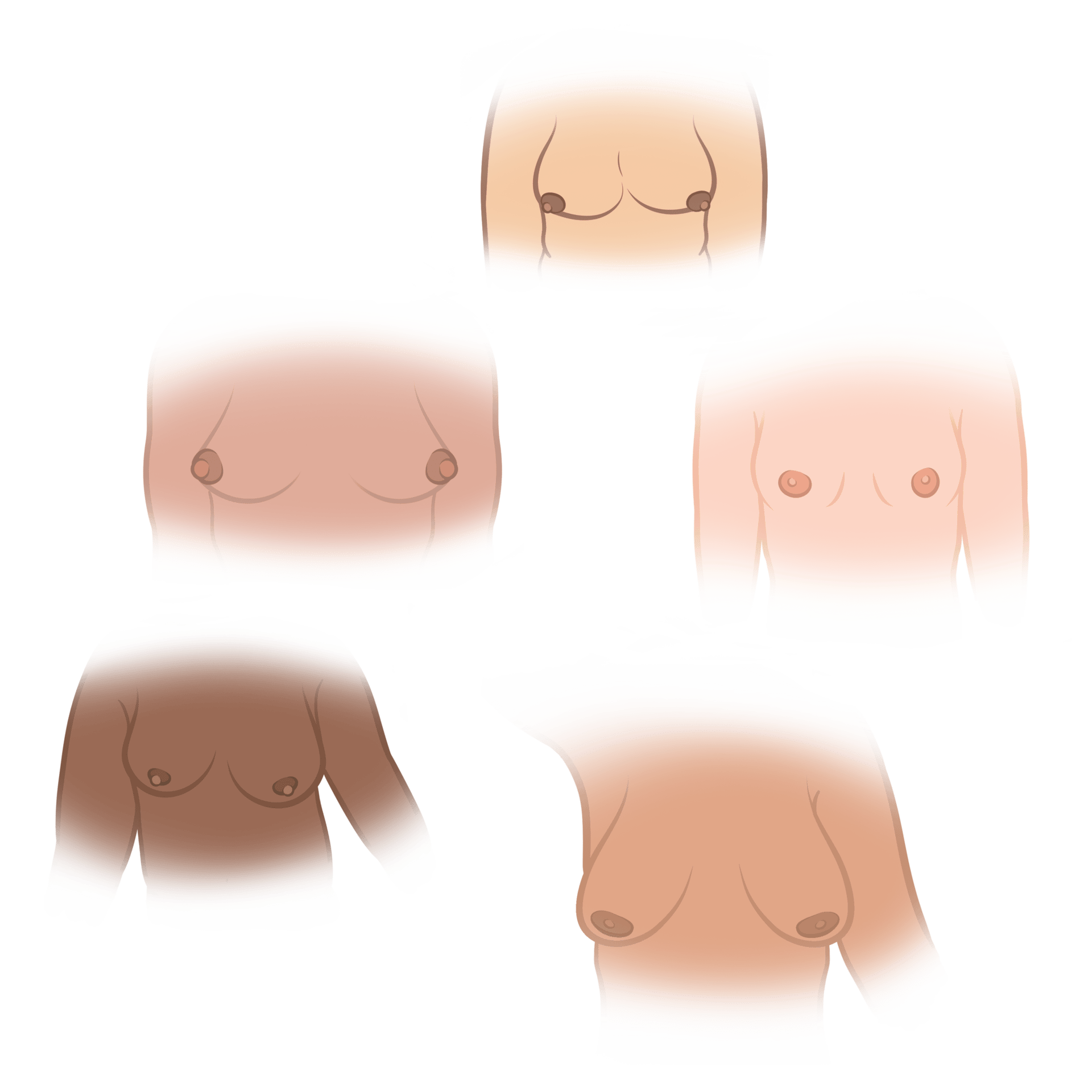 Material property, Nose, Head, Product, Font
