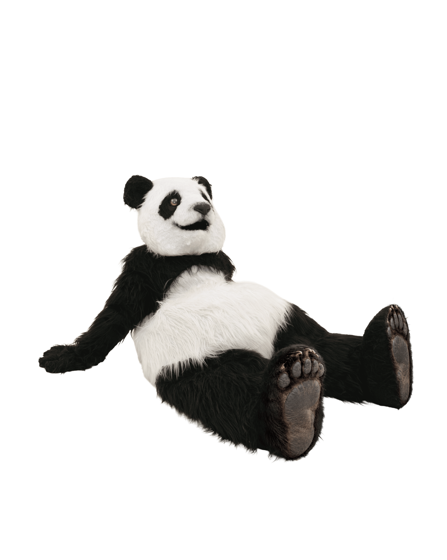 A person in a full panda costume is lying on their back, looking up with a slight smile.