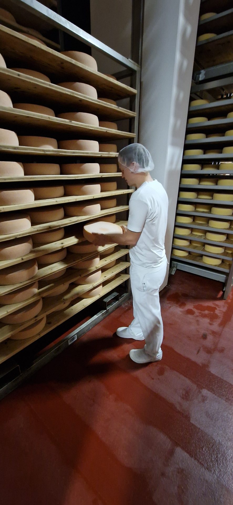 A cheesemaker in a hairnet handles a large cheese wheel on wooden shelves in an aging room.