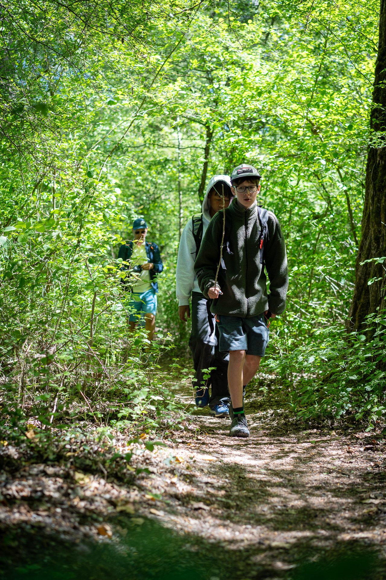 Three young people hike along a sun-dappled path through a lush green forest on a bright day.