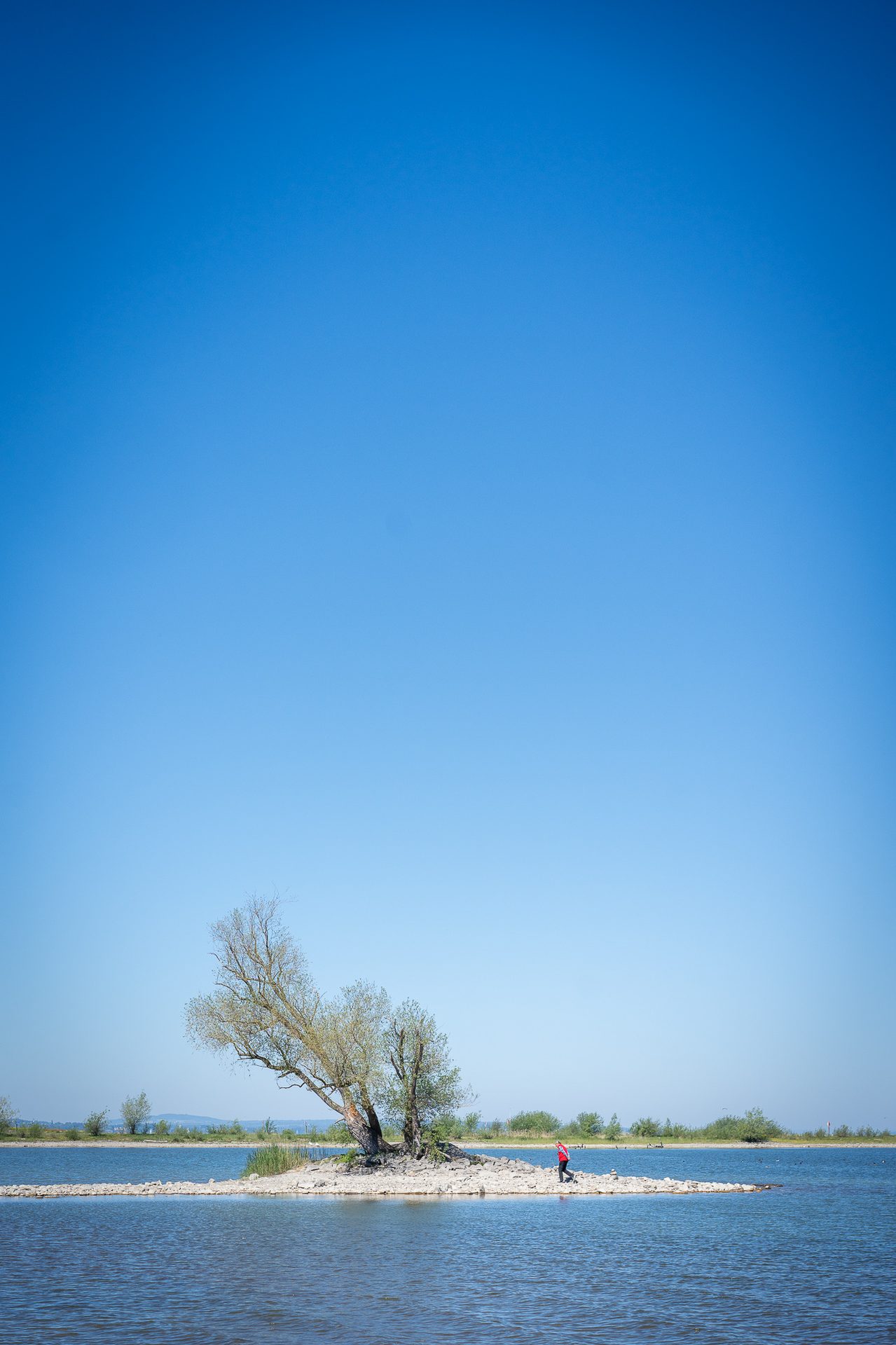 A person in red stands on a small treed island in tranquil water under a clear blue sky.