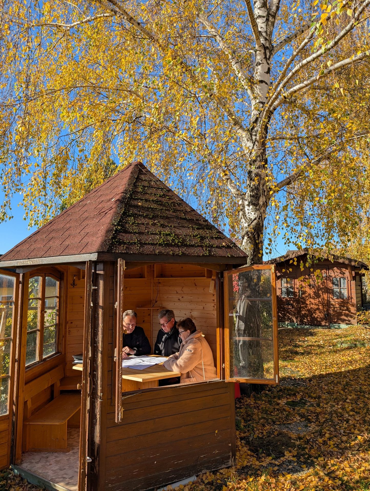 Three people review papers in a wooden gazebo amidst bright yellow autumn leaves and blue sky.