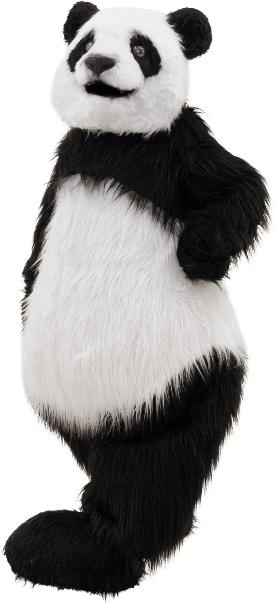 A black and white furry panda mascot costume standing.