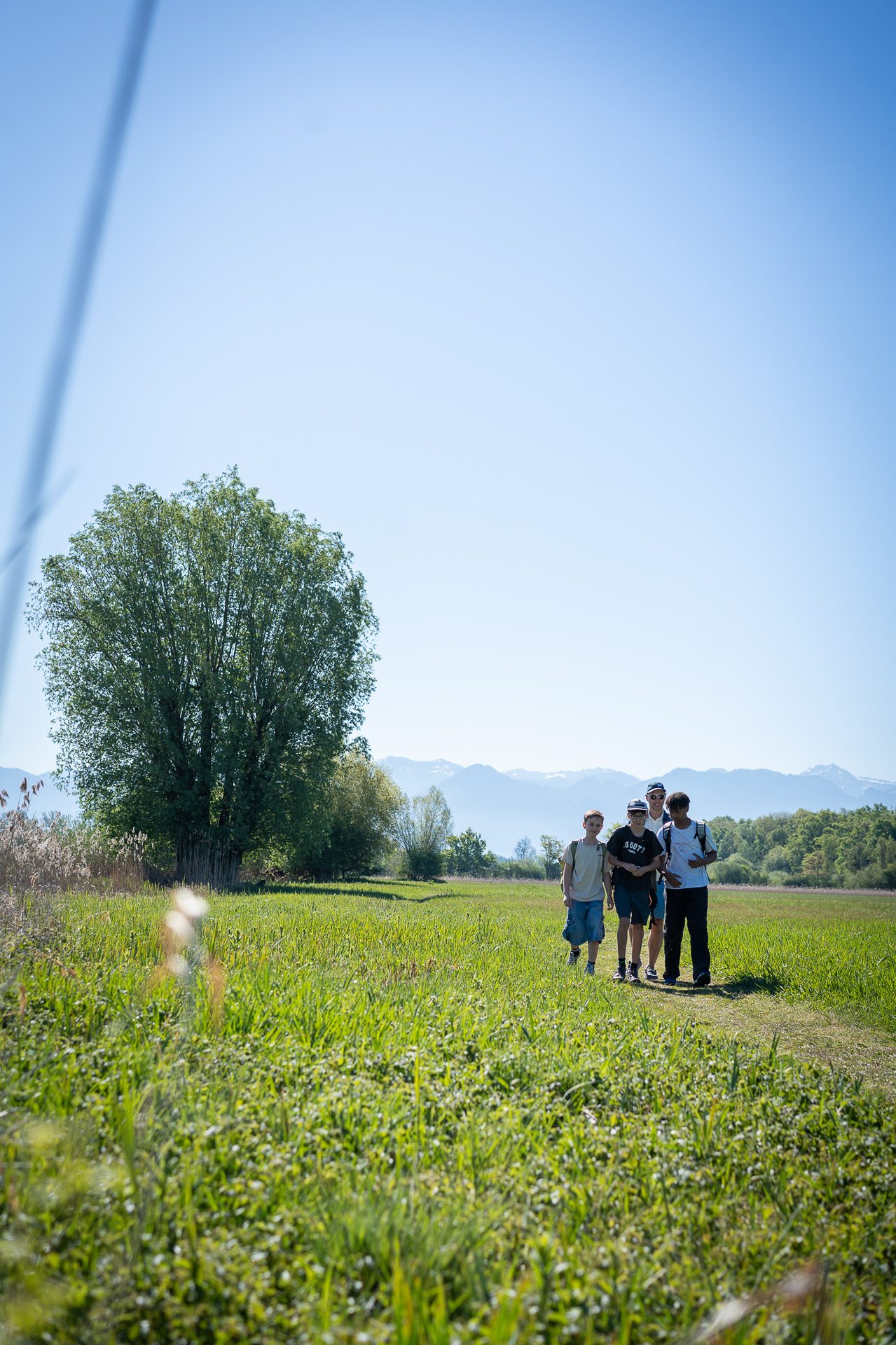 Four young hikers walk a grassy path, surrounded by trees, mountains, and a clear blue sky.