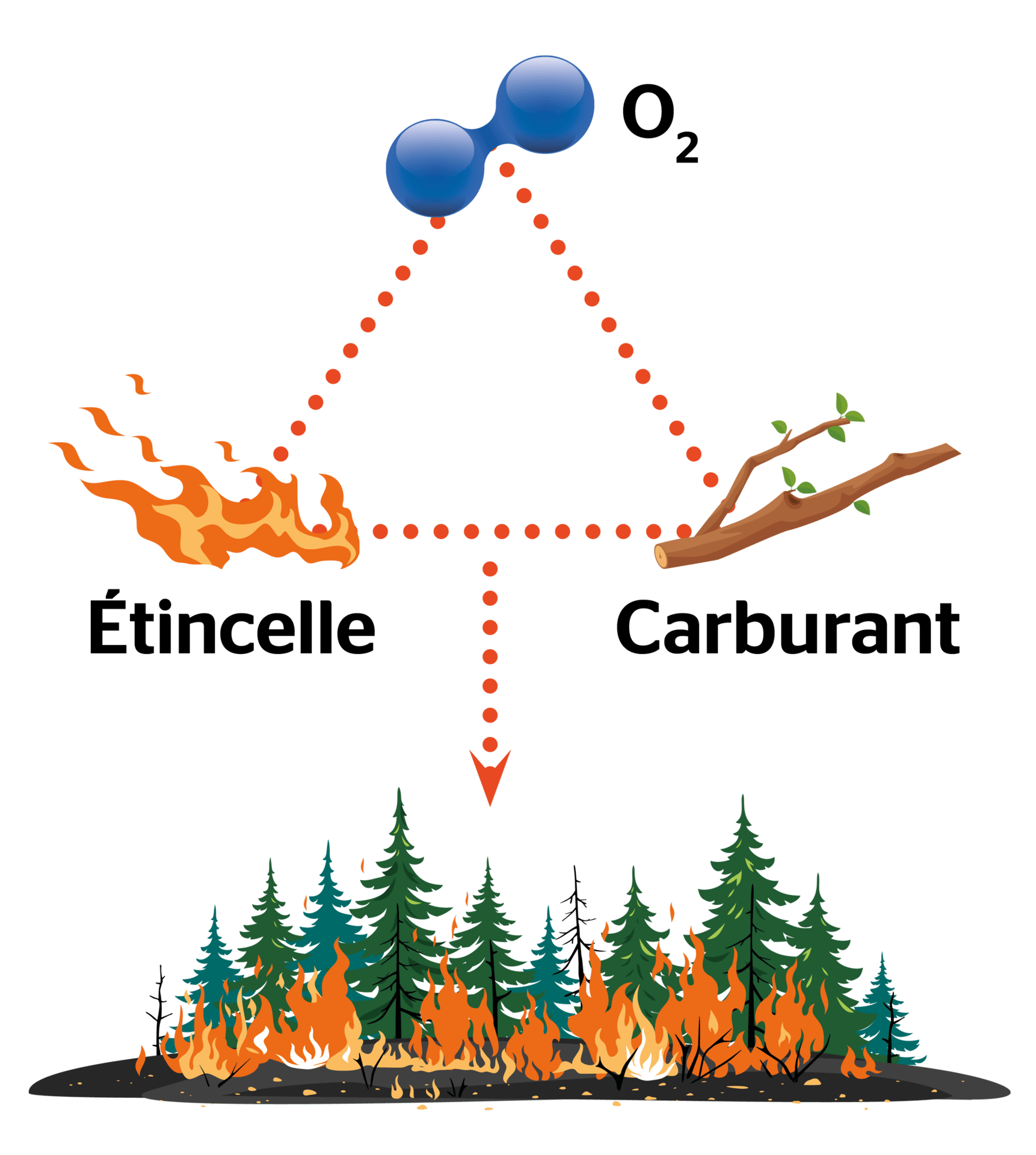 People in nature, Natural environment, Leaf, Tree, Branch, Rectangle, Font, Vegetation, Slope