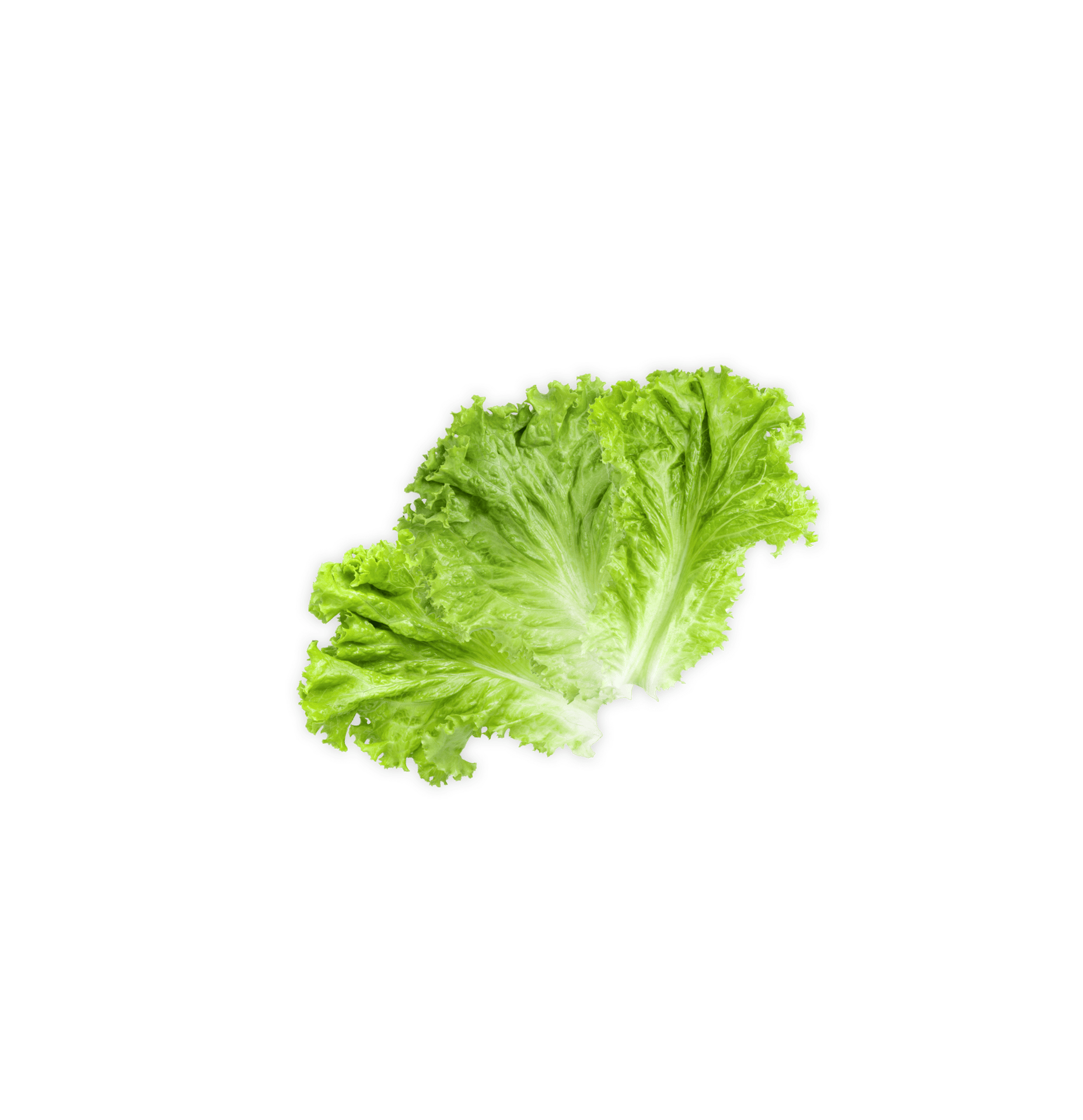 Leaf vegetable, Food, Plant, Ingredient