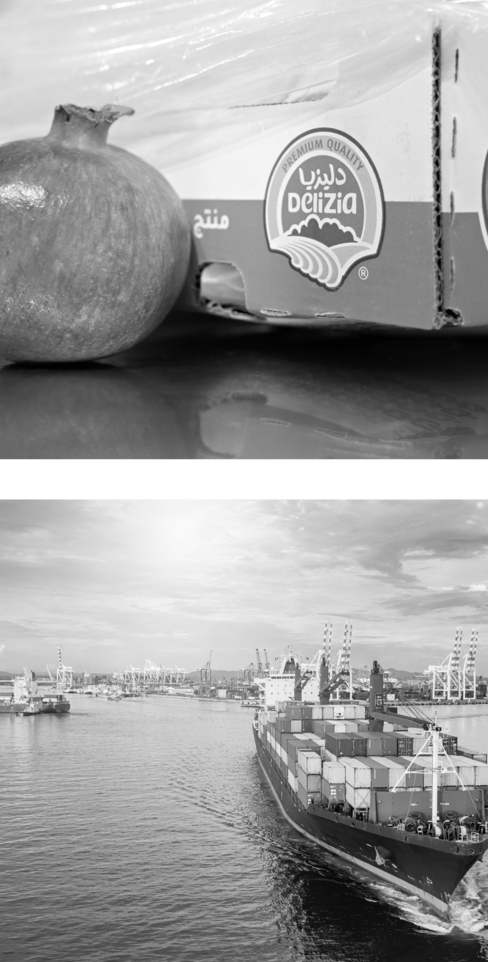 Water, Cloud, Photograph, Sky, White, Black, Black-and-white, Boat, Plant, Style