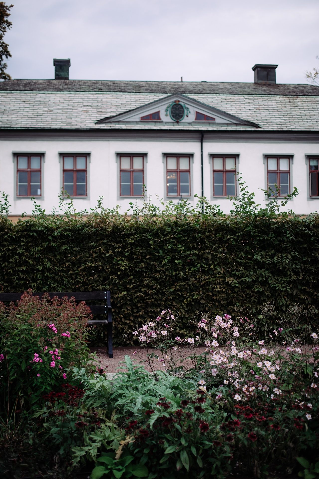 Land lot, Plant, Flower, Sky, Property, Building, Window, Grass
