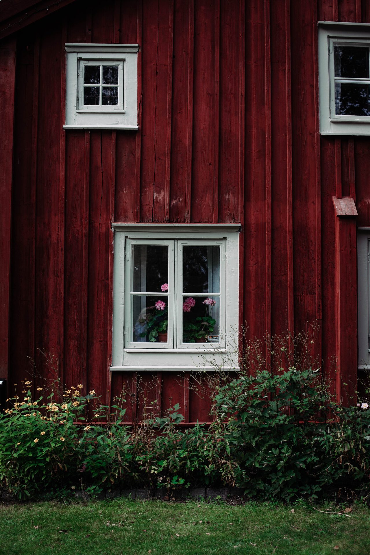 Plant, Window, Daytime, Flower, Building, Fixture, Rectangle, Green, Wood, Architecture
