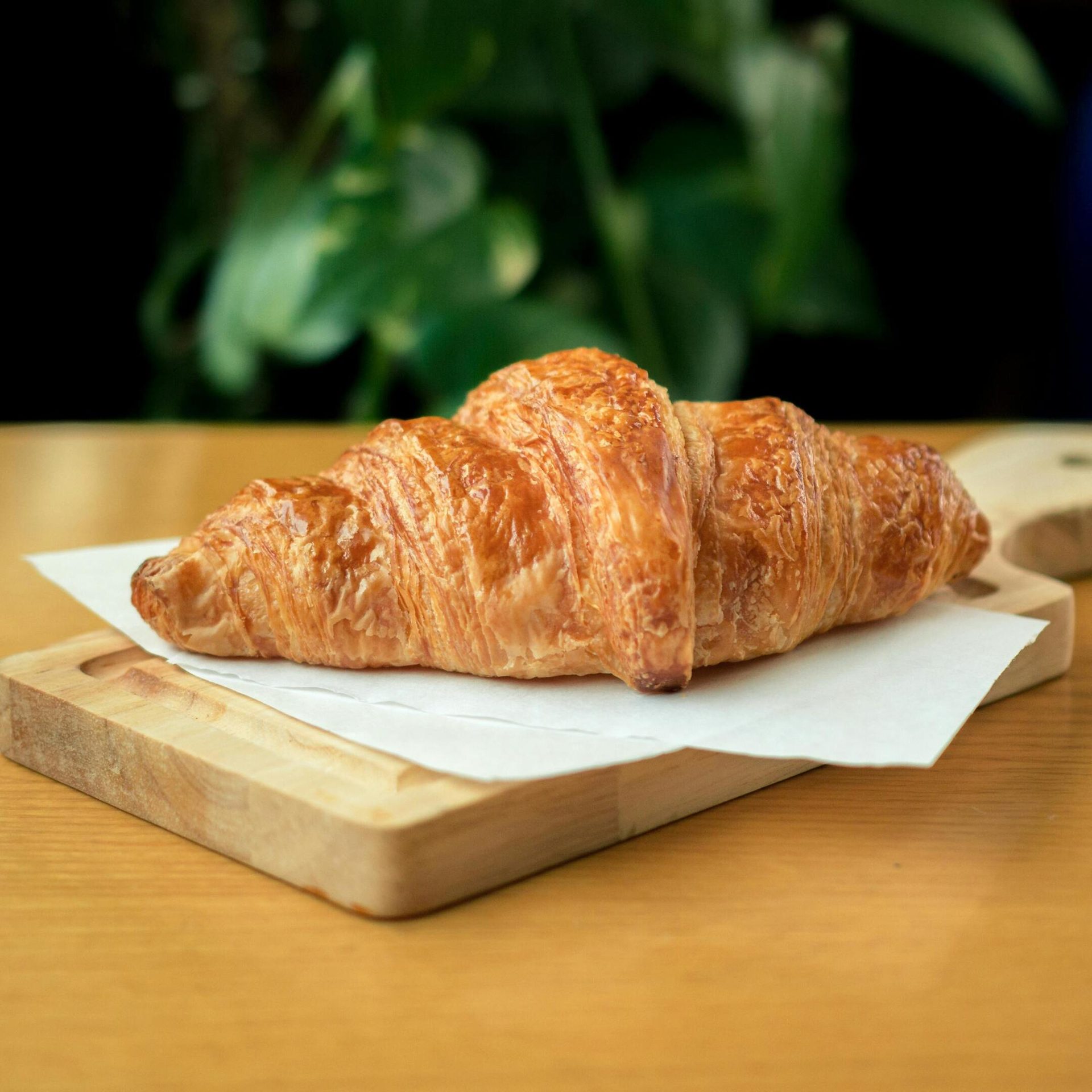A golden-brown croissant on white paper on a wooden board, with a blurry green background.