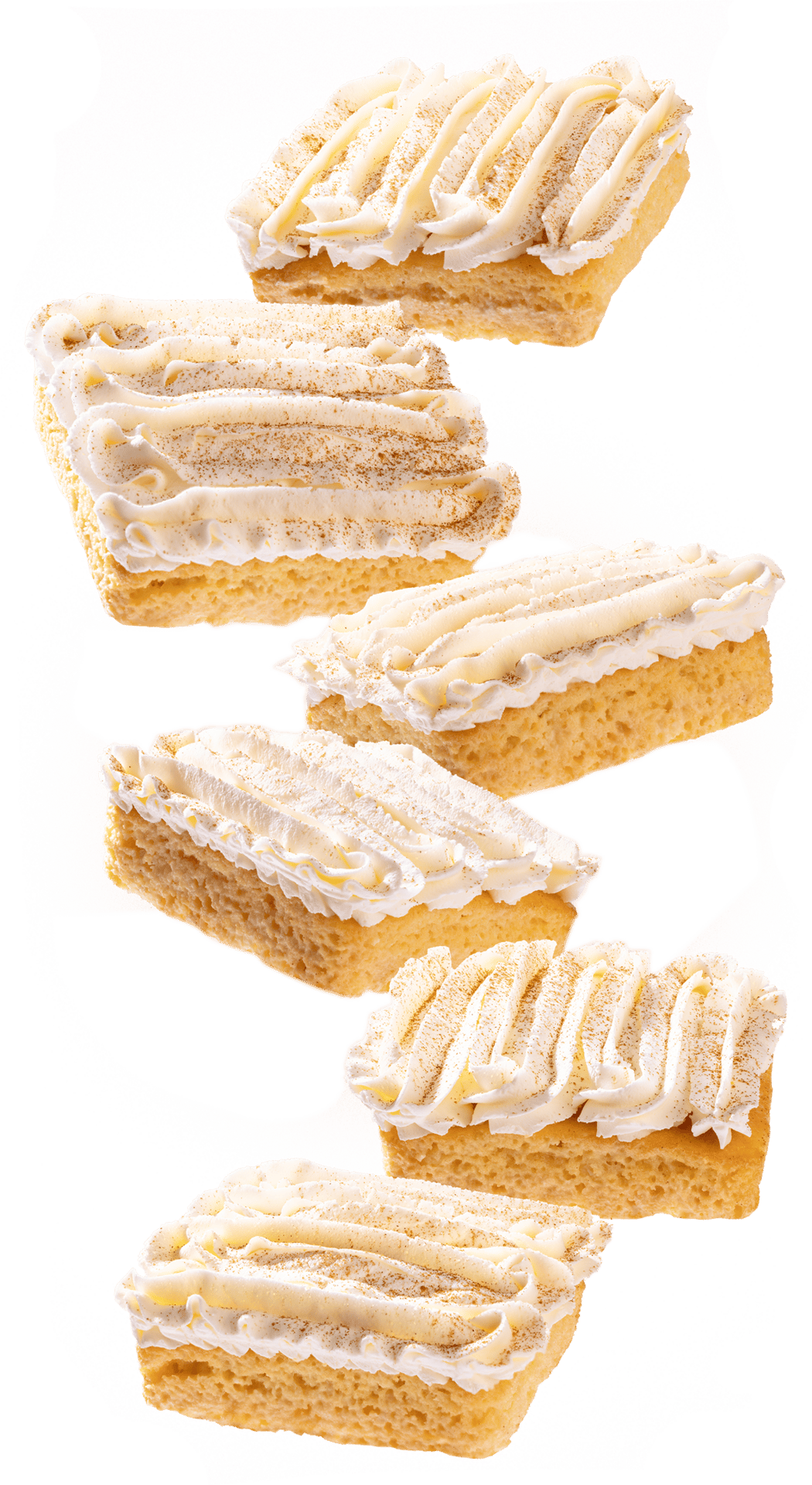 Pieces of Tres Leches Cake dessert