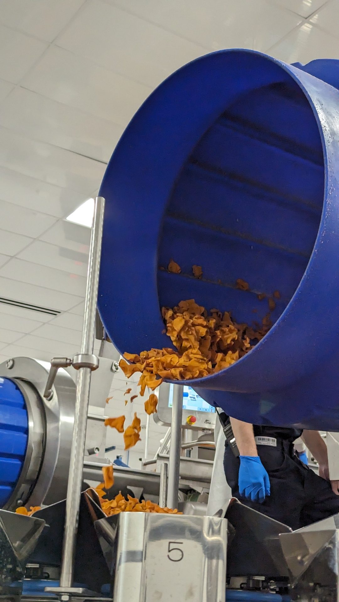 Sweet potato chips in seasoning equipment