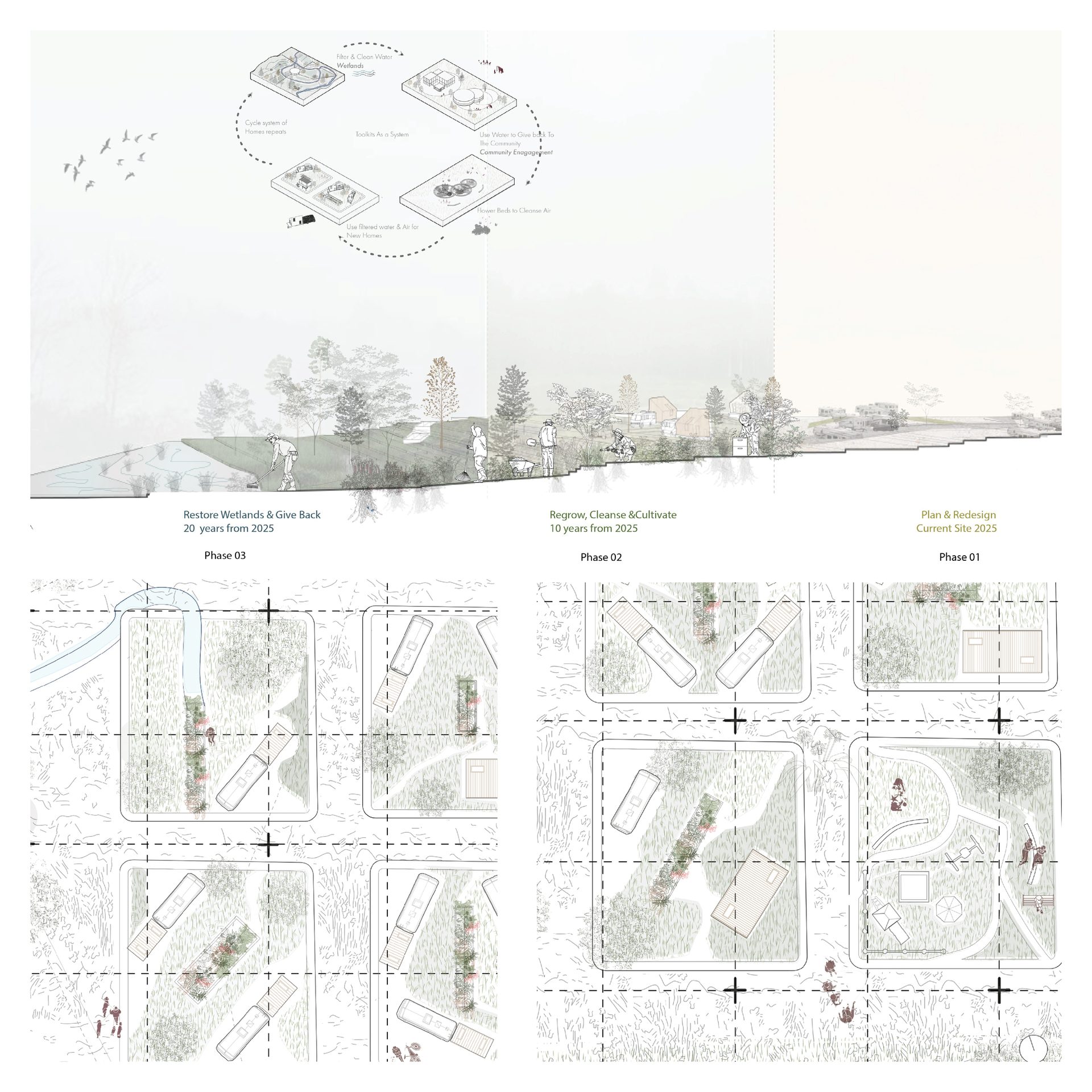 Multi-phase ecological restoration plan, featuring wetland purification, water filtration, and community site development.