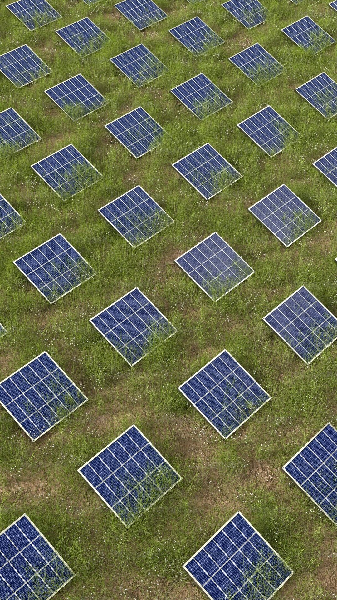 Pattern of solar panels on grass.